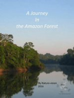 A Journey In the Amazon Forest