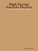 High Energy Particle Physics: A Concise Guide For Beginners