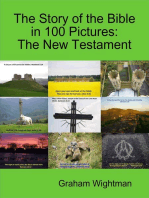 The Story of the Bible In 100 Pictures: The New Testament