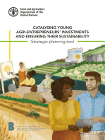 Catalysing Young Agri-Entrepreneurs' Investments and Ensuring Their Sustainability: Strategic Planning Tool