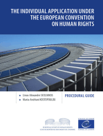 The individual application under the European Convention on Human Rights: Procedural guide