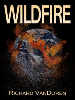 Wildfire