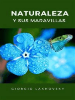 Naturaleza y sus maravillas (traducido)