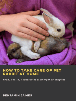 How to Take Care of Pet Rabbit at Home: Food, Health, Accessories & Emergency Supplies