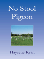 No Stool Pigeon