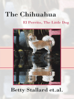 The Chihuahua: El Perrito the Little Dog