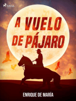 A vuelo de pájaro