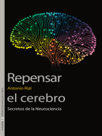 Repensar el cerebro: Secretos de la Neurociencia