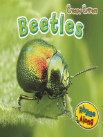 Beetles