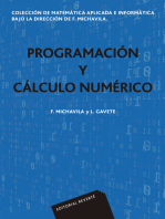 Programación y cálculo numérico (Colección de matemática aplicada e informática)