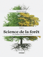 Science de la forêt - TOME 2: Les arbres en pénurie d'eau