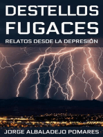 Destellos Fugaces: Relatos Desde La Depresión