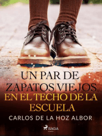 Un par de zapatos viejos en el techo de la escuela