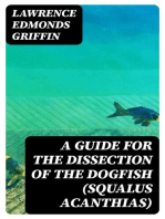 A Guide for the Dissection of the Dogfish (Squalus Acanthias)