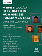 A efetivação dos Direitos Humanos e Fundamentais: caminhos e descaminhos: Volume 2