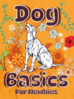 Dog Basics For Newbies