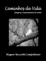 Caminhos Da Vida