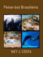 Peixe-boi Brasileiro