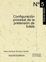 Configuración procesal de la pretensión de tutela