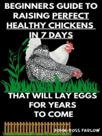 Beginners Guide To Raising Perfect Healthy Chickens in 7 Days: Volume 1