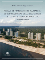 Padrão de fraturamento na margem do rio Negro nas orlas das cidades de Manaus e Iranduba no Estado do Amazonas