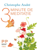 3 minute de meditatie