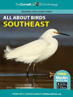 All About Birds Southeast