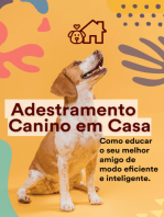 Adestramento Canino Em Casa