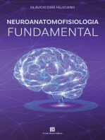 Neuroanatomofisiologia Fundamental