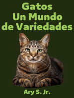 Gatos Un Mundo de Variedades