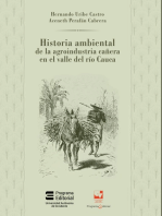 Historia ambiental de la agroindustria cañera en el valle del Río Cauca