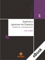 Justicia y proceso en Francia: Tendencias contemporáneas