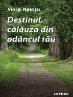 Destinul, calauza din adancul tau