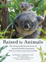 Raised by Animals: The Surprising New Science of Animal Family Dynamics