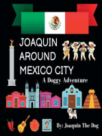 Joaquin Around Mexico City: A Doggy Adventure