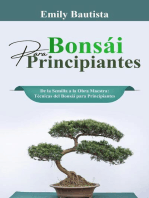 Bonsái para Principiantes: De la Semilla a la Obra Maestra: Técnicas del Bonsái para Principiantes