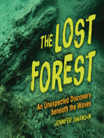 The Lost Forest: An Unexpected Discovery beneath the Waves