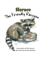 Horace the Friendly Raccoon