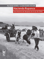 Hacienda Rupanco: Una historia de despojo en el sur de Chile