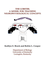 THE LOBSTER:: a Model for Teaching Neurophysiological Concepts