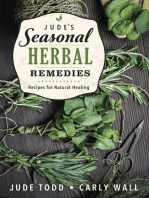 Jude's Seasonal Herbal Remedies: Recipes for Natural Healing