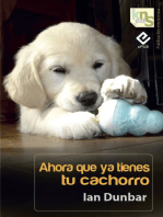 Ahora que ya tienes tu cachorro