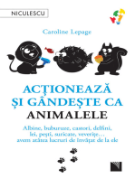 Acţionează şi gândeşte ca animalele: Albine, buburuze, castori, delfini, lei, peşti, suricate, veverițe... avem atâtea lucruri de învăţat de la ele