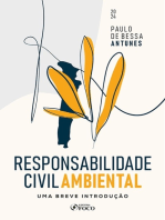 Responsabilidade Civil Ambiental