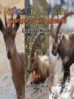 Niños en la Tierra - Aventuras de vida Silvestre - Explora el Mundo Ibex