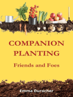 Companion Planting: Friends and Foes