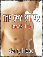 The Gay Sitter Book 8