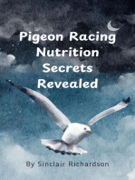 Pigeon Racing Nutrition Secrets Revealed