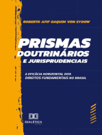 Prismas Doutrinários e Jurisprudenciais: a eficácia horizontal dos direitos fundamentais no Brasil