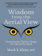 Wisdom from the Aerial View: The Superpower That Can Change Your Life and This World